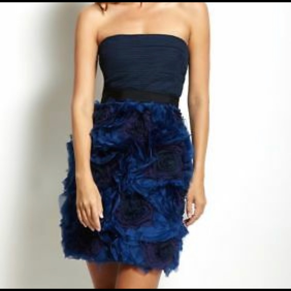 BCBG organza rosette dress